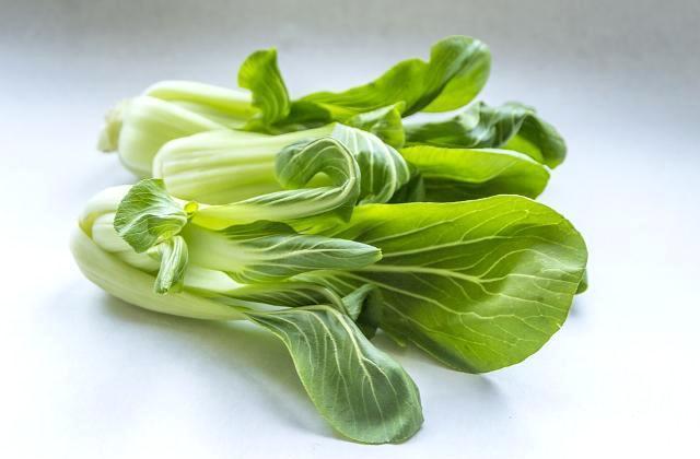 Fotografie - čínské zelí (Pak choi)