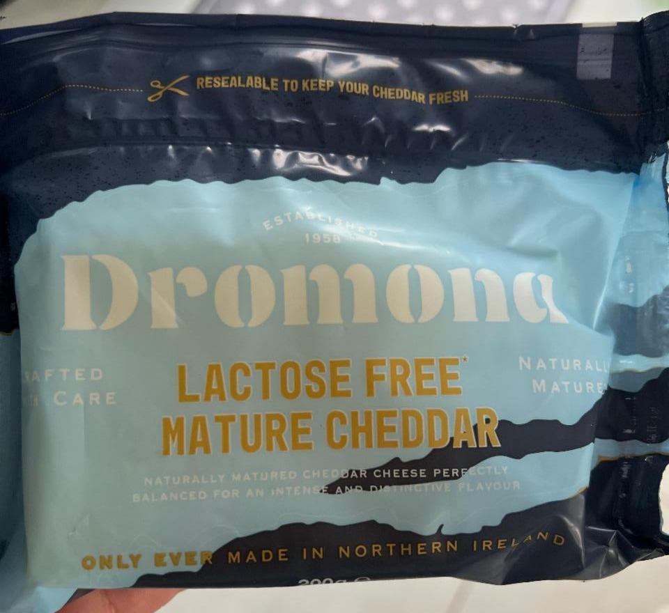 Fotografie - Lactose free mature cheddar Dromona