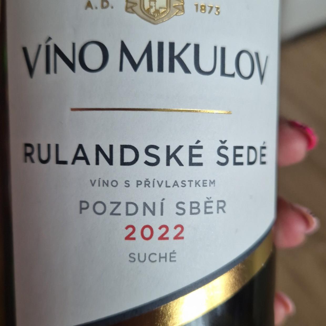 Fotografie - Rulandské šedé pozdní sběr Víno Mikulov