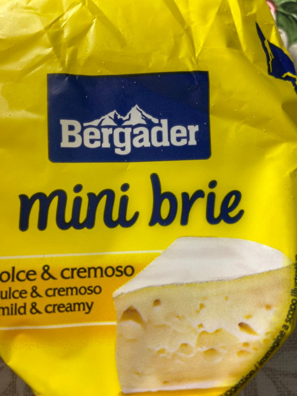 Fotografie - Mini brie Bergader