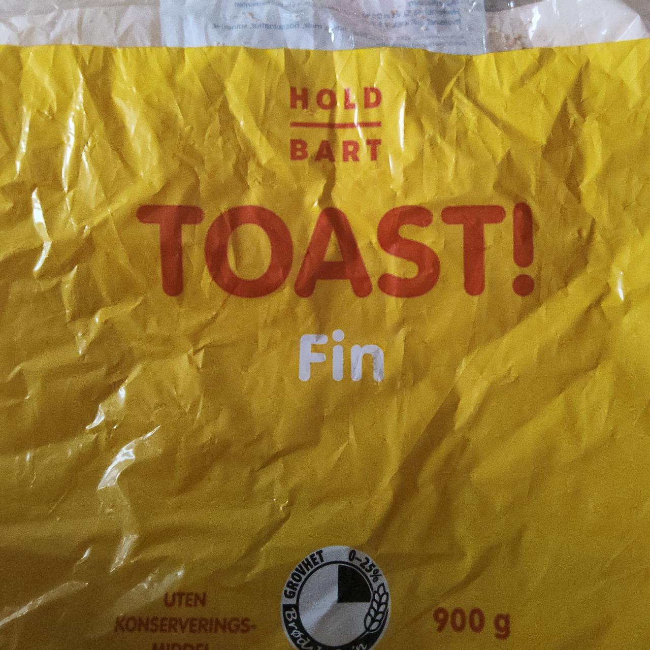 Fotografie - Hold Bart Toast! Fin