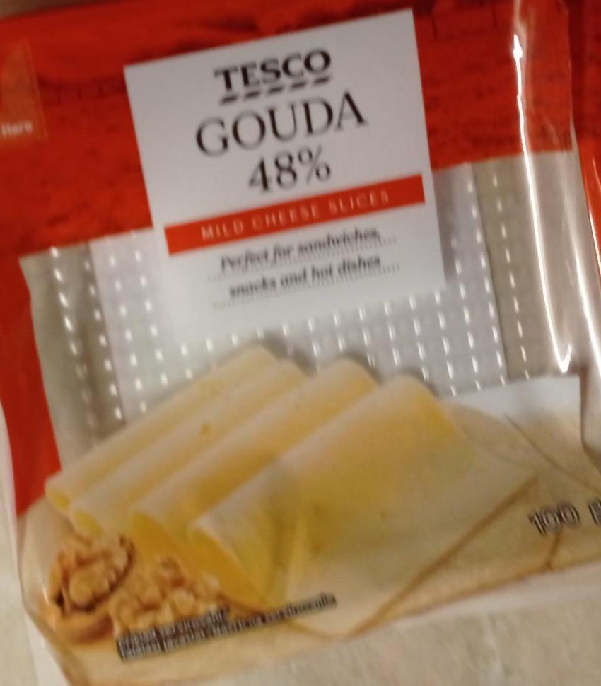 Fotografie - Gouda 48% Tesco