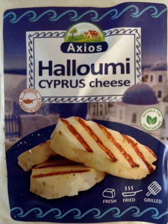 Fotografie - Halloumi Cyprus Cheese Axios