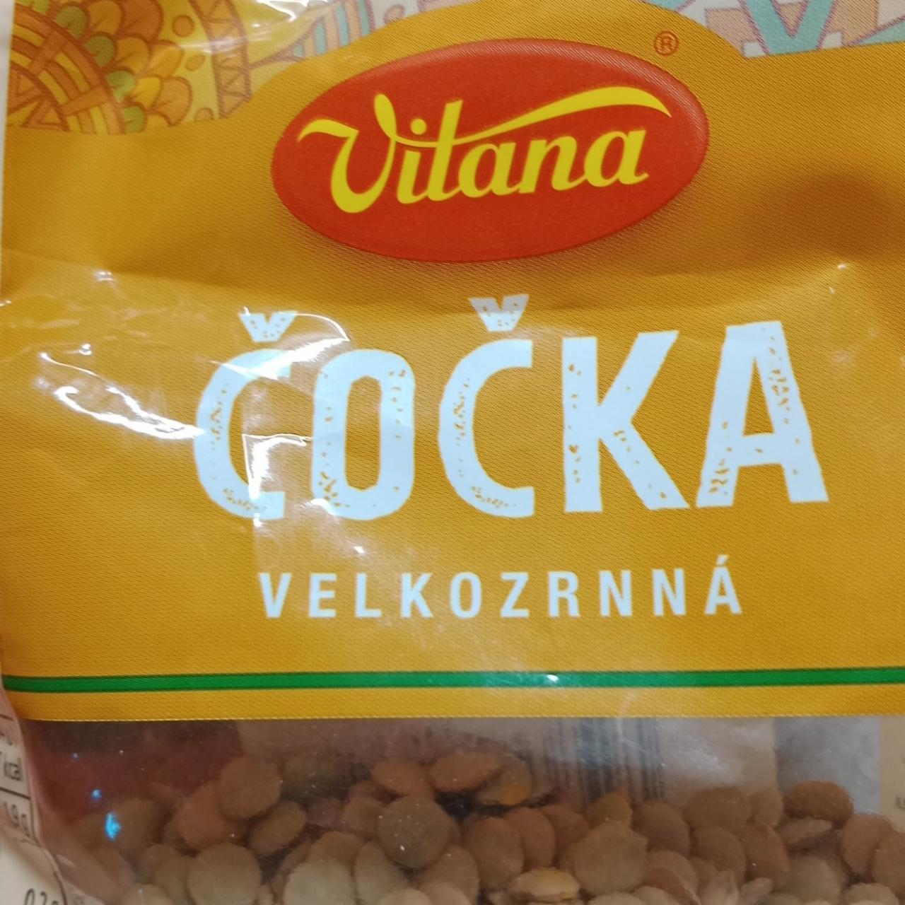 Fotografie - Čočka velkozrnná Vitana