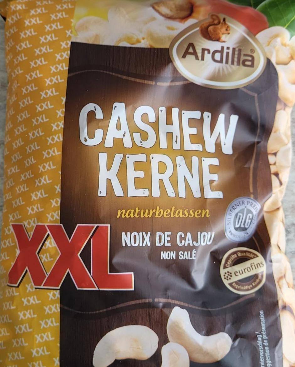 Fotografie - Cashew kerne Ardilla