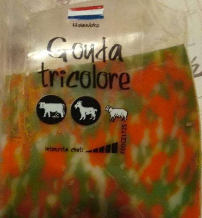 Fotografie - Gouda tricolore