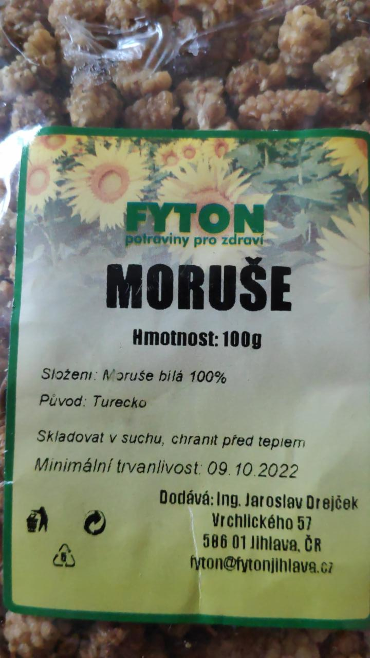 Fotografie - Moruše Fyton