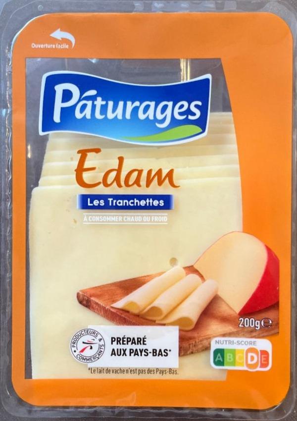 Fotografie - Edam Les Tranchettes Páturages