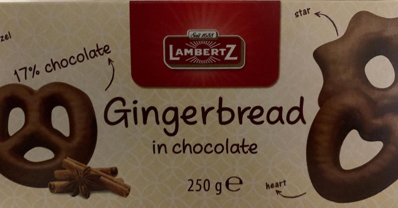 Fotografie - Gingerbread in milk chocolate 25% LambertZ