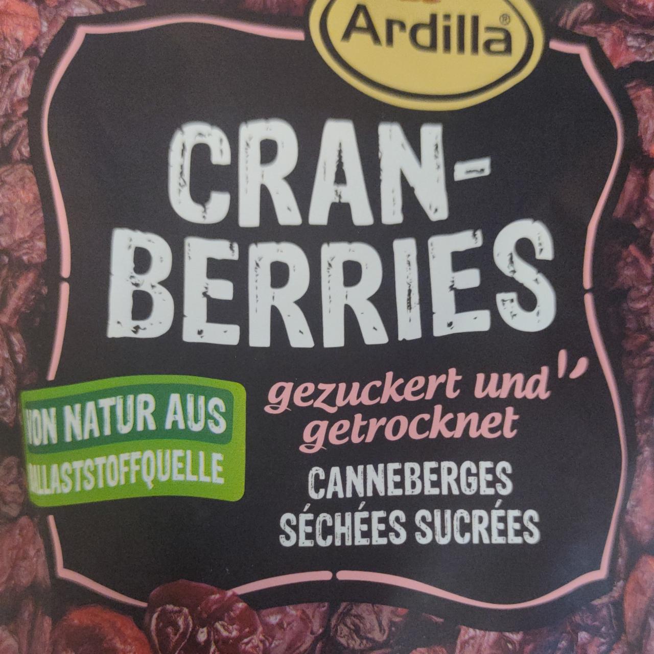 Fotografie - Cranberries Ardilla