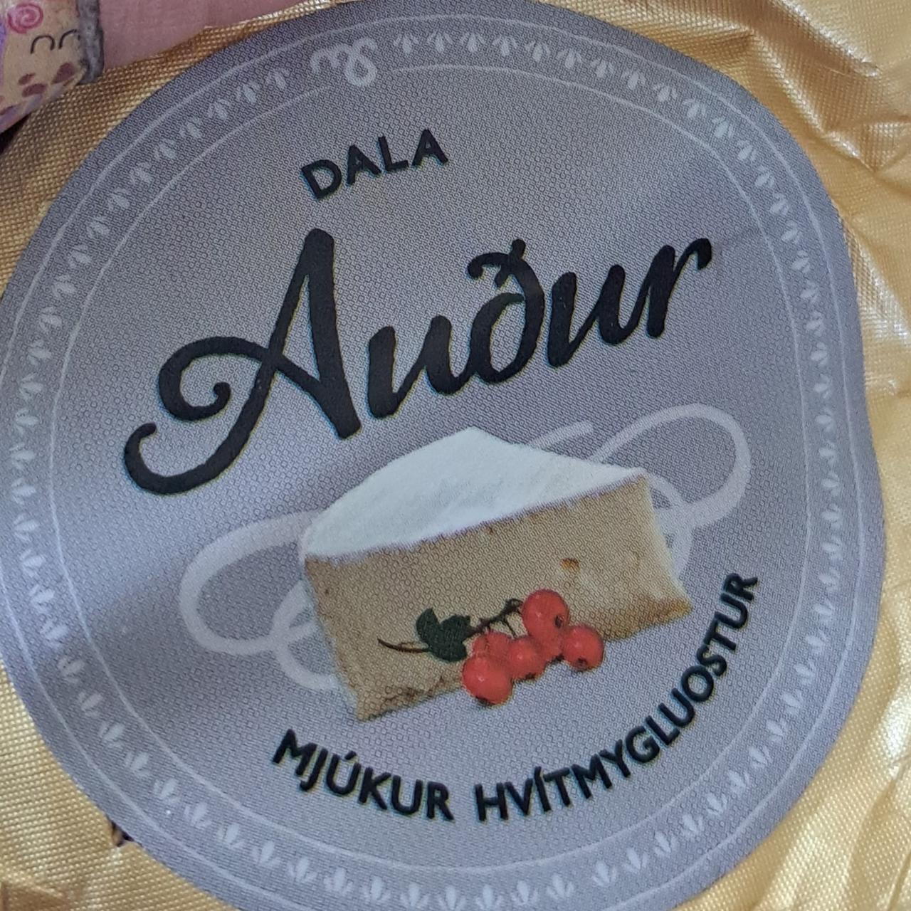 Fotografie - Dala Auður