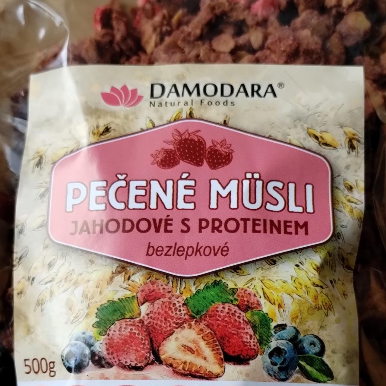 Fotografie - Pečené müsli jahodové s proteinem bezlepkové Damodara