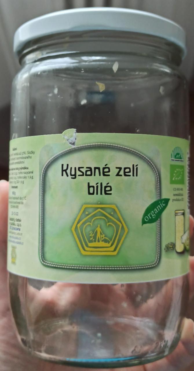 Fotografie - Kysané zelí bílé organic Svobodný statek na soutoku