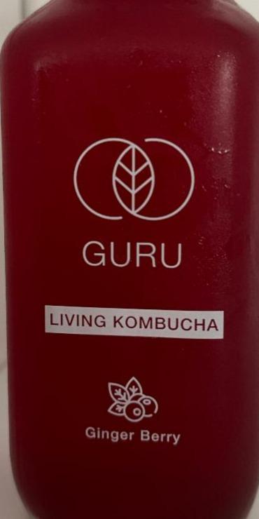 Fotografie - Living Kombucha Ginger Berry Guru