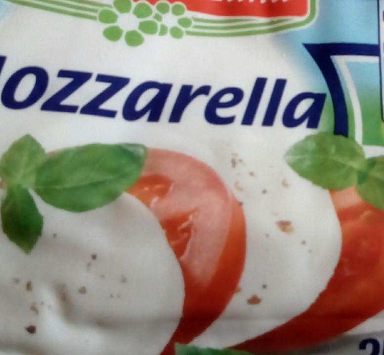 Fotografie - Mozzarella Thüringer Land