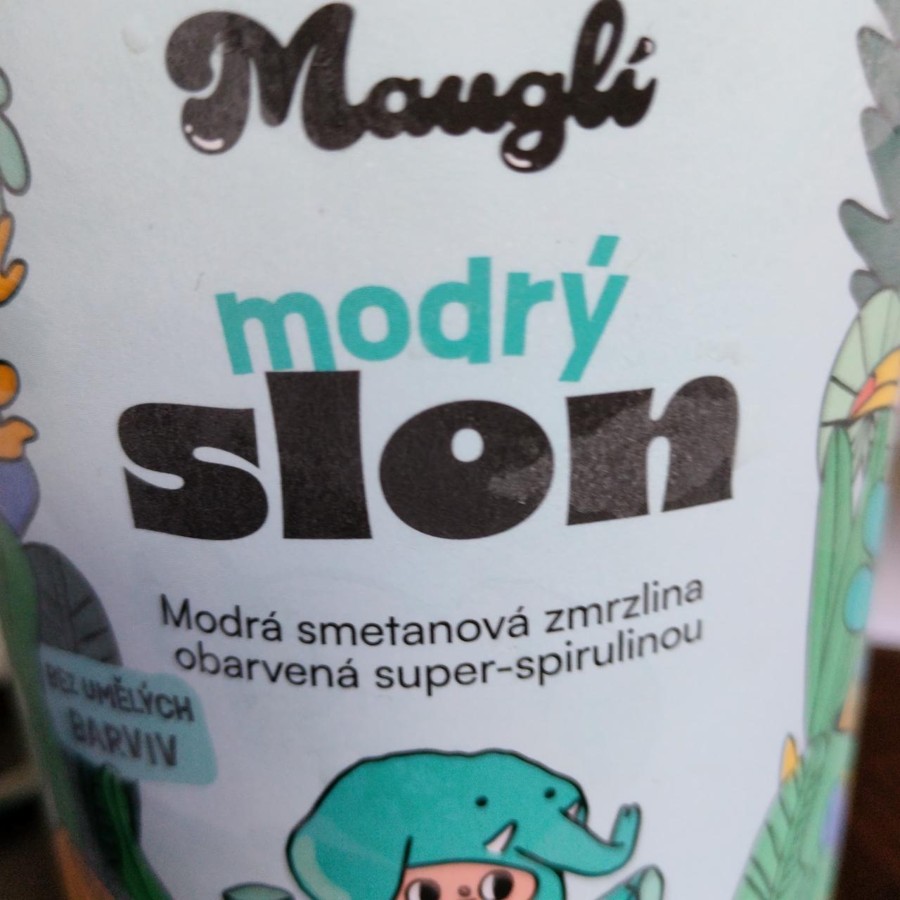 Fotografie - Modrý slon Mauglí