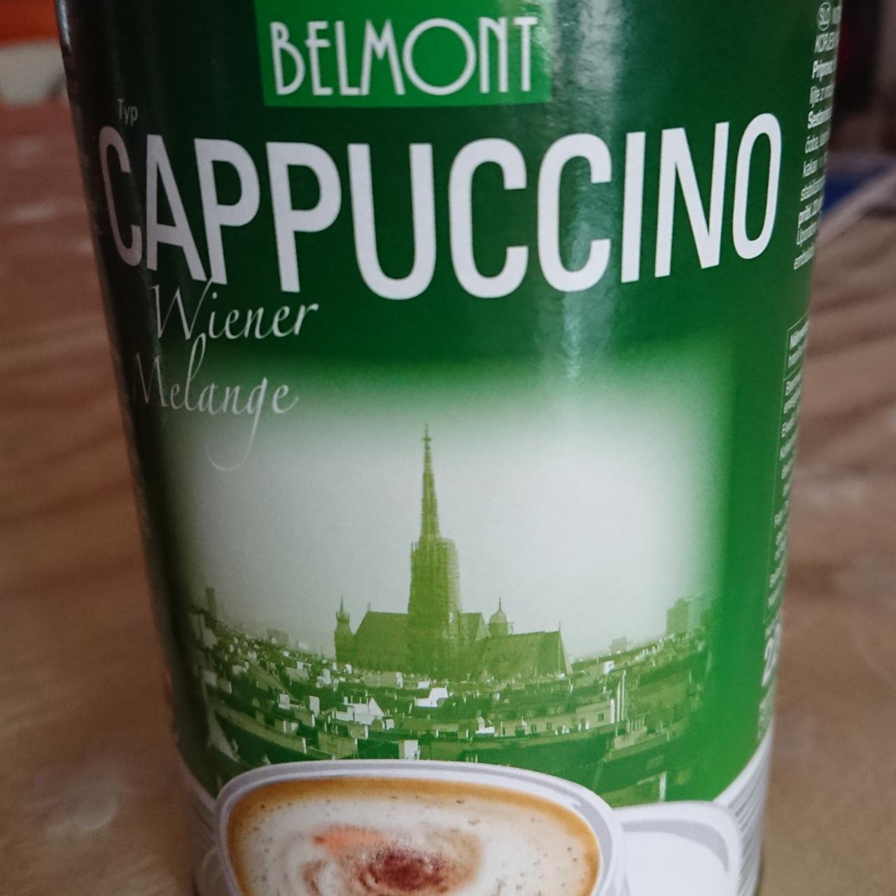 Fotografie - Cappuccino Wiener Melange Belmont