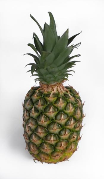 Fotografie - ananas