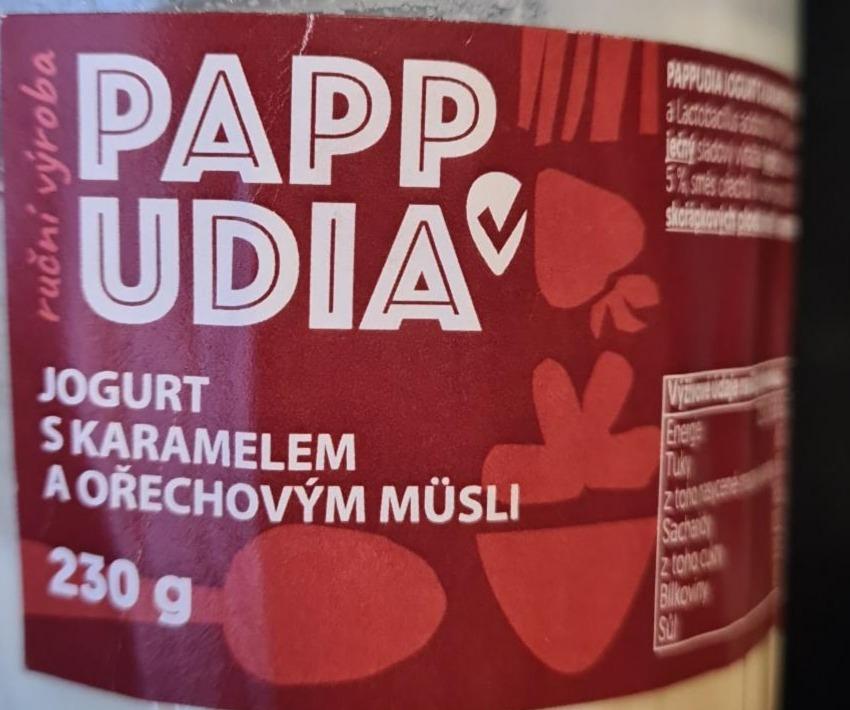 Fotografie - Jogurt s karamelem a ořechovým müsli Pappudia