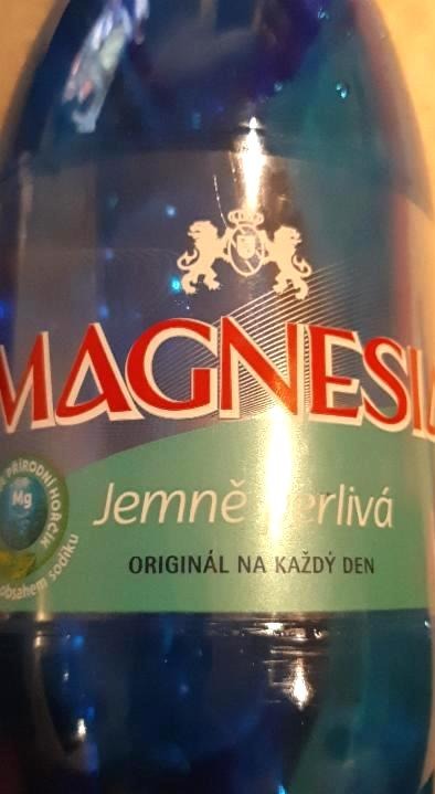 Fotografie - Magnesia minerální jemně perlivá voda