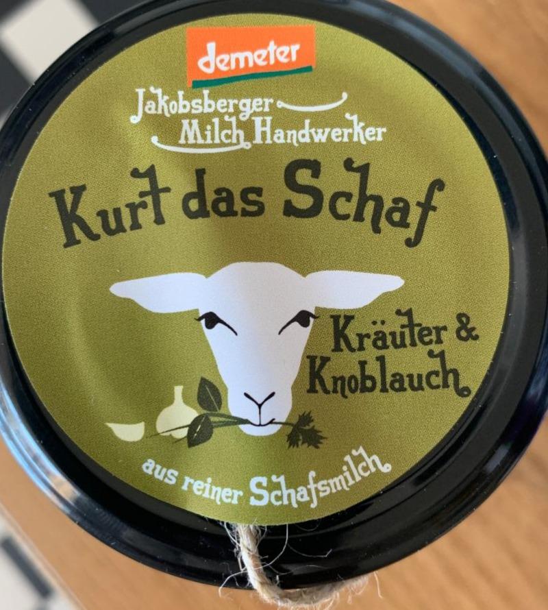 Fotografie - Kurt das Schaf Jakobsberger Milch Handwerker Demeter