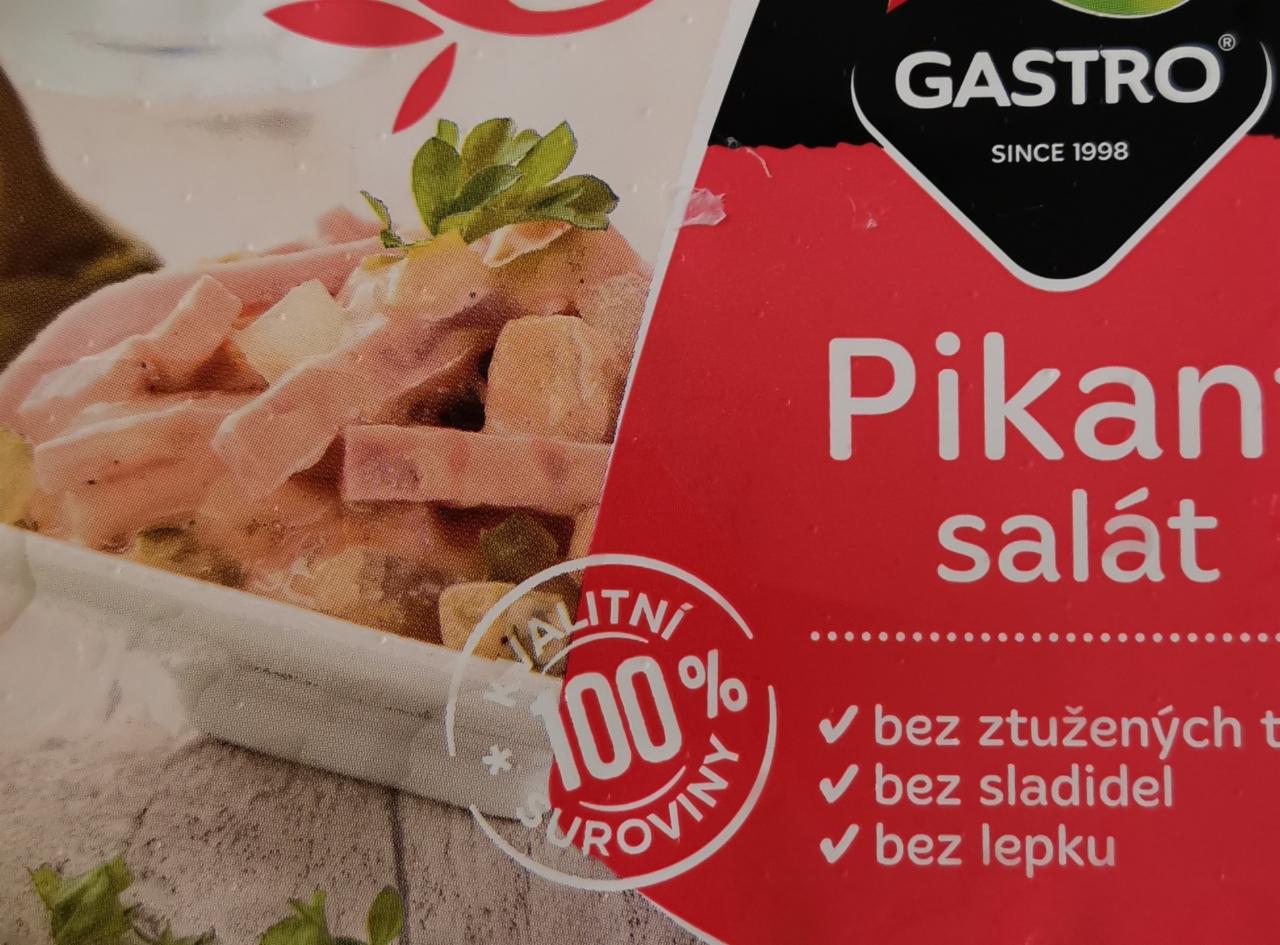 Fotografie - Pikant salát Gastro