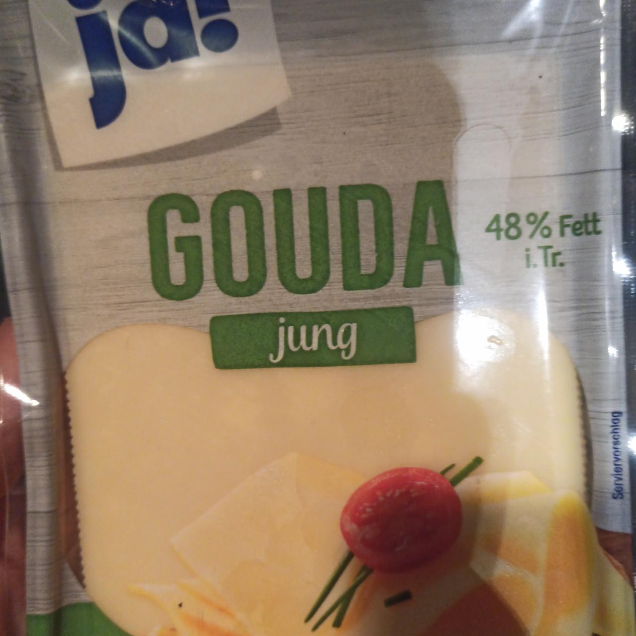 Fotografie - Gouda Jung 48% Fett i. Tr. ja!