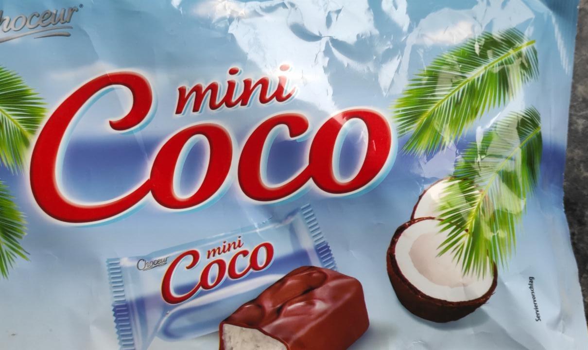 Fotografie - Mini Coco Choceur