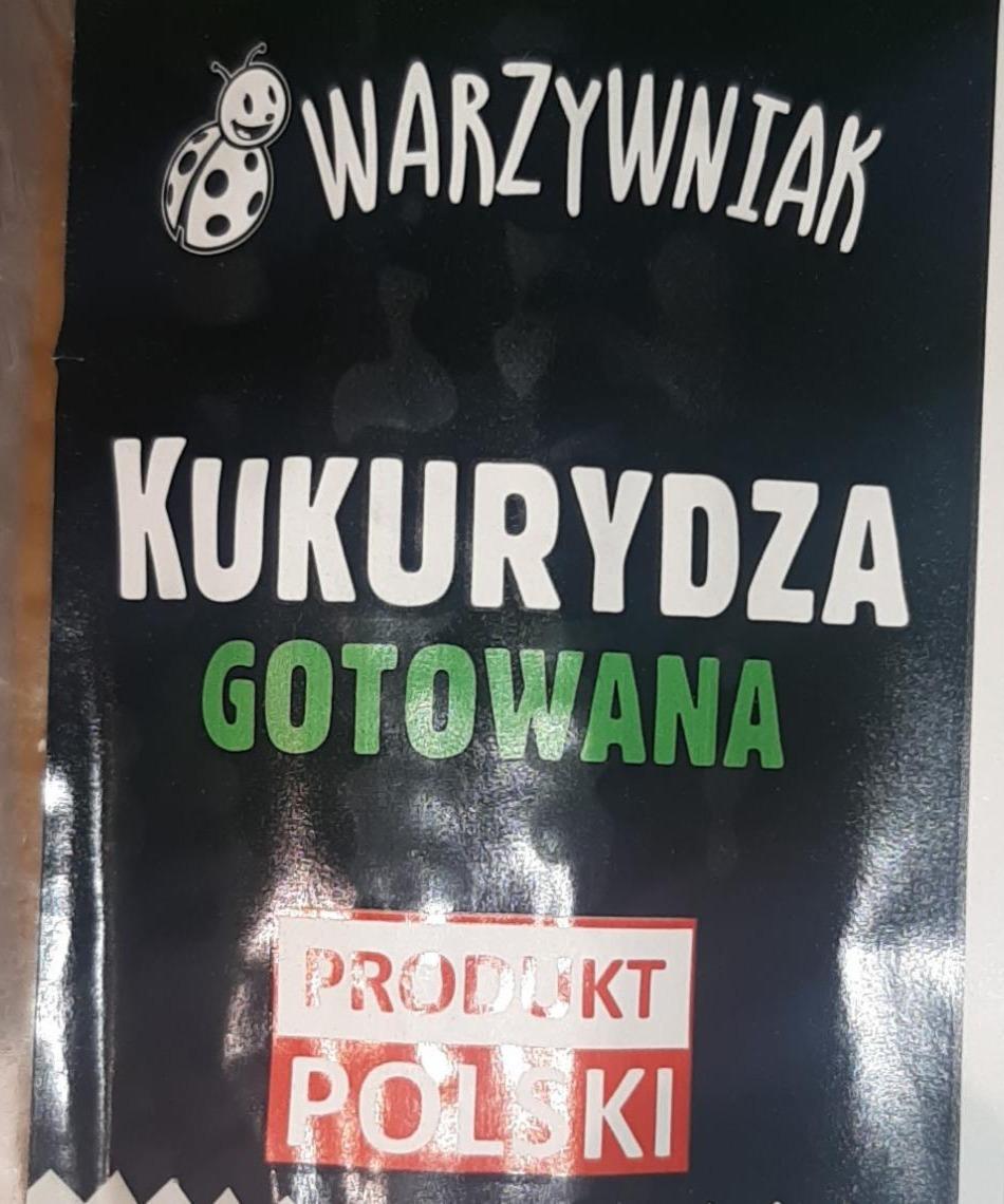 Fotografie - Kukurydza gotowana Warzywniak