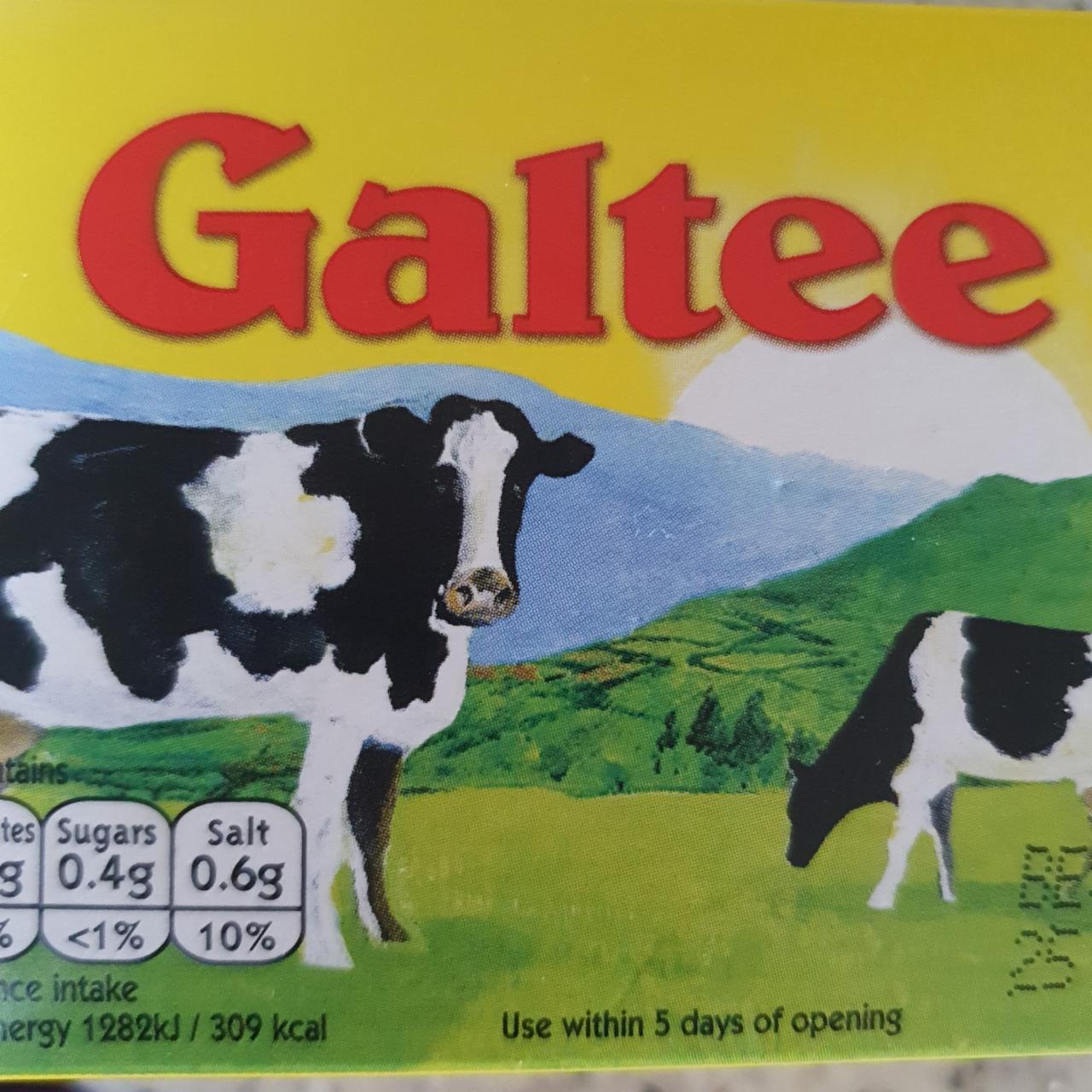 Fotografie - Galtee Block Cheese