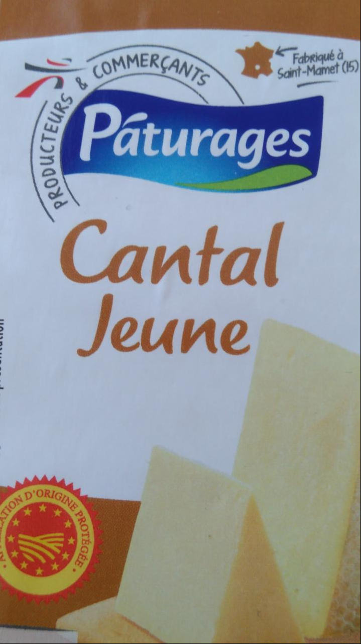 Fotografie - Cantal jeune Pâturages