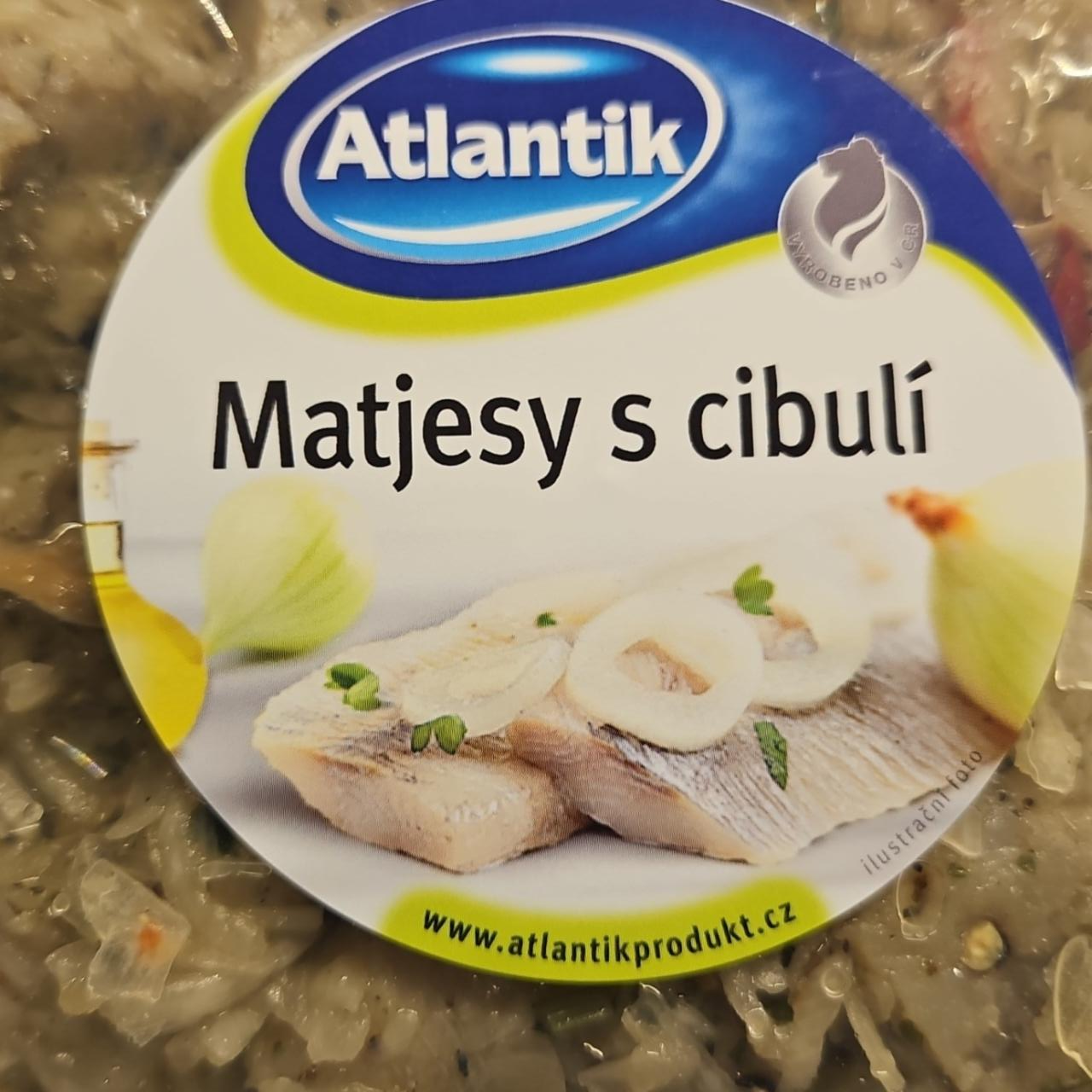 Fotografie - Matjesy s cibulí Atlantik