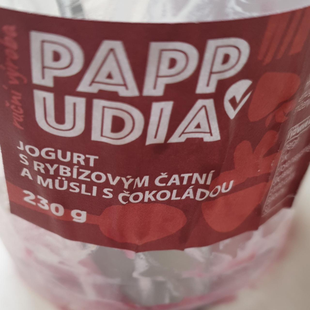 Fotografie - Jogurt s rybízovým čatní a müsli s čokoládou Pappudia