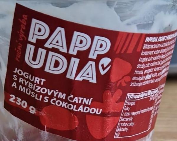 Fotografie - Jogurt s rybízovým čatní a müsli s čokoládou Pappudia