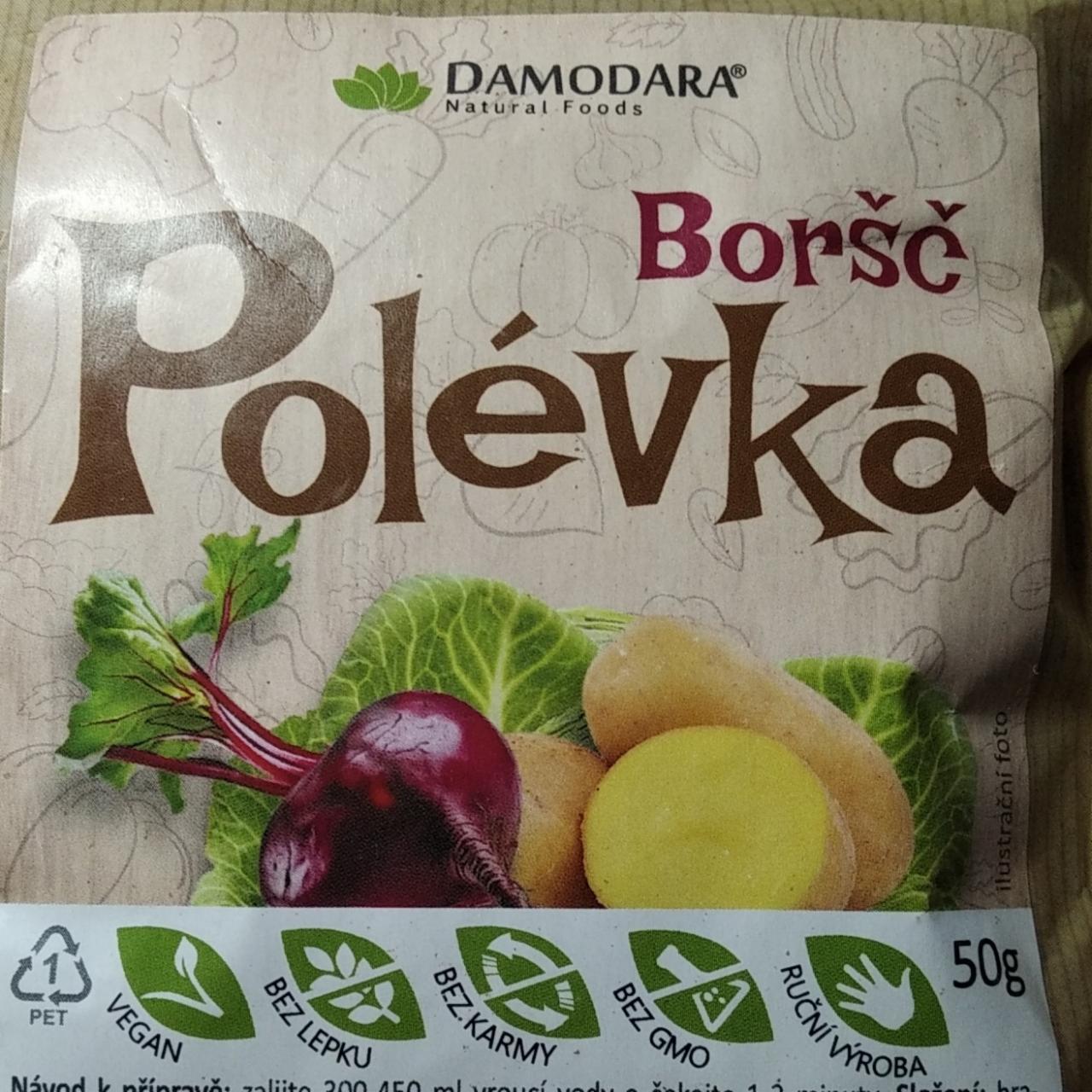 Fotografie - Boršč polévka Damodara