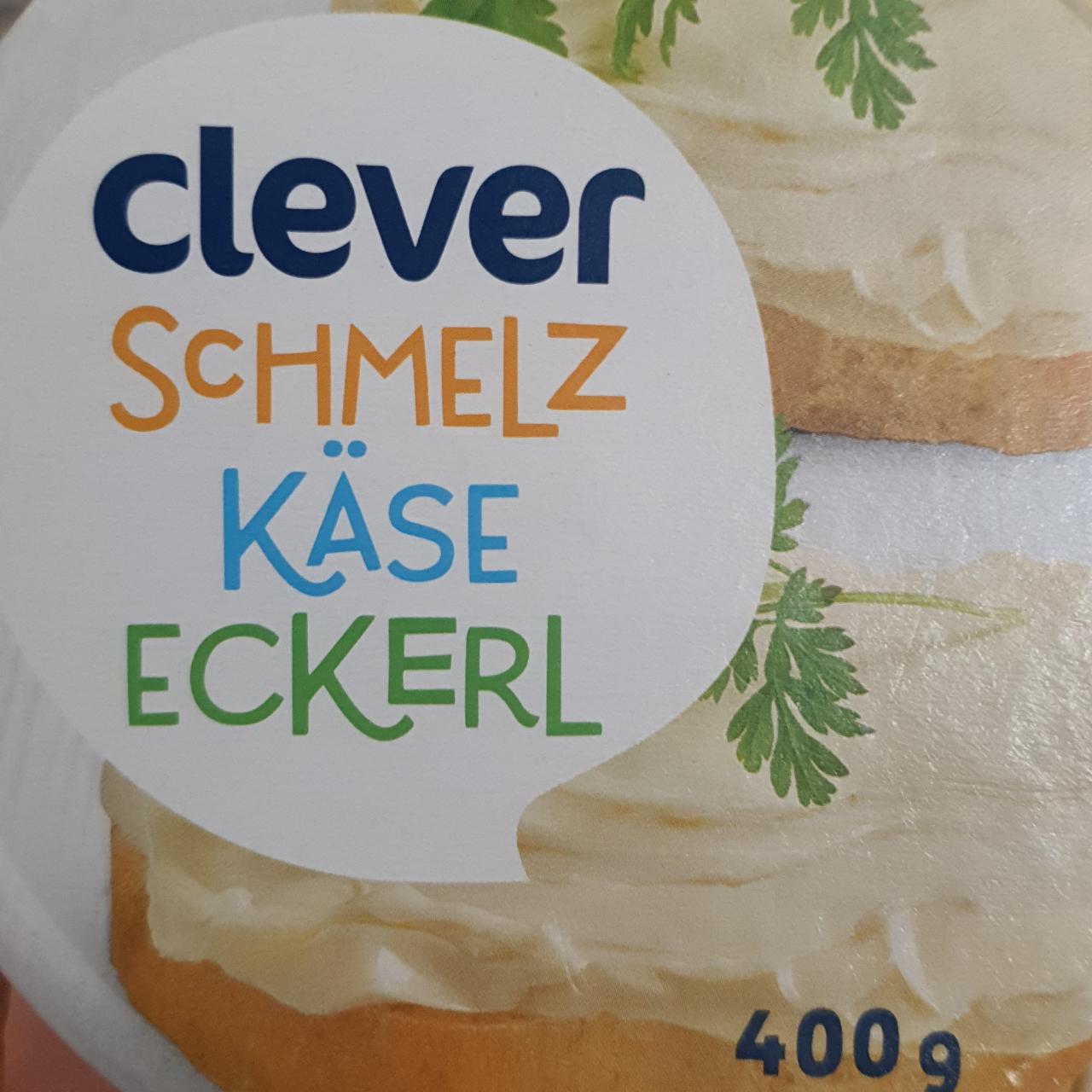 Fotografie - Schmelz Käse Eckerl Clever