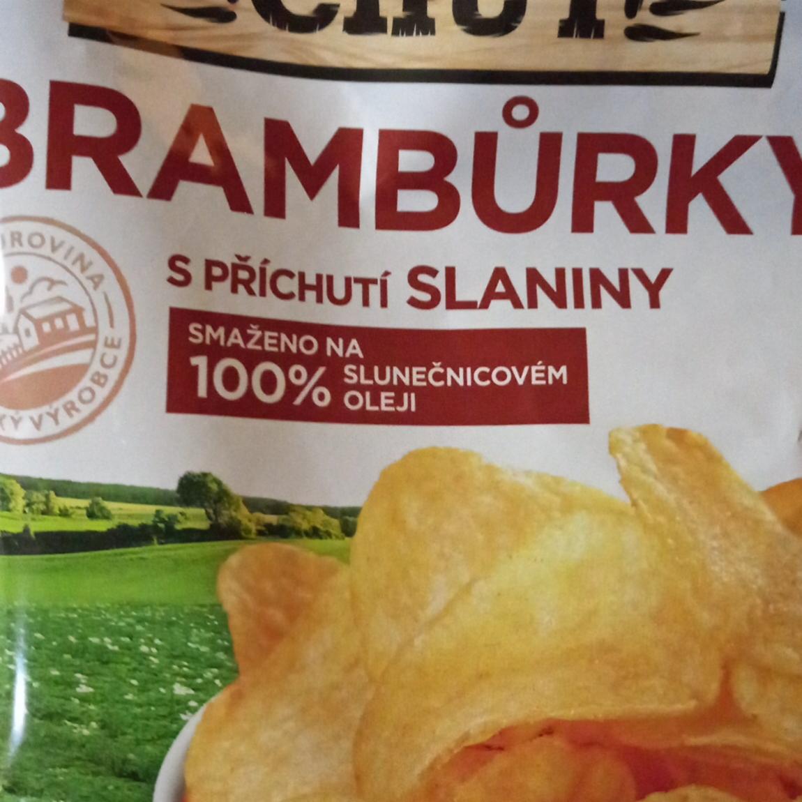 Fotografie - brambůrky se příchutí slaniny