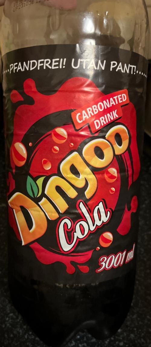 Fotografie - Cola Dingoo