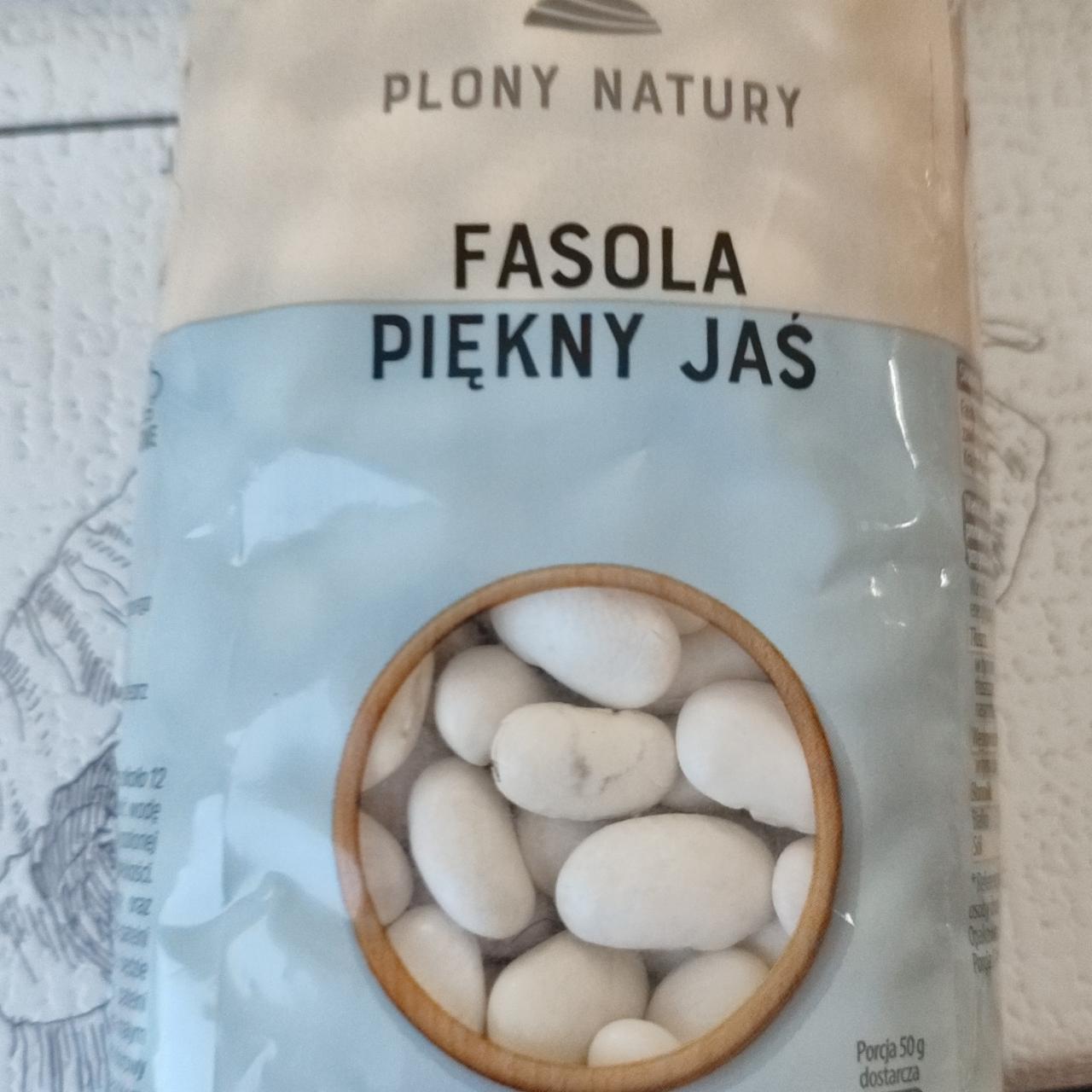 Fotografie - Fasola piękny jaś Plony Natury