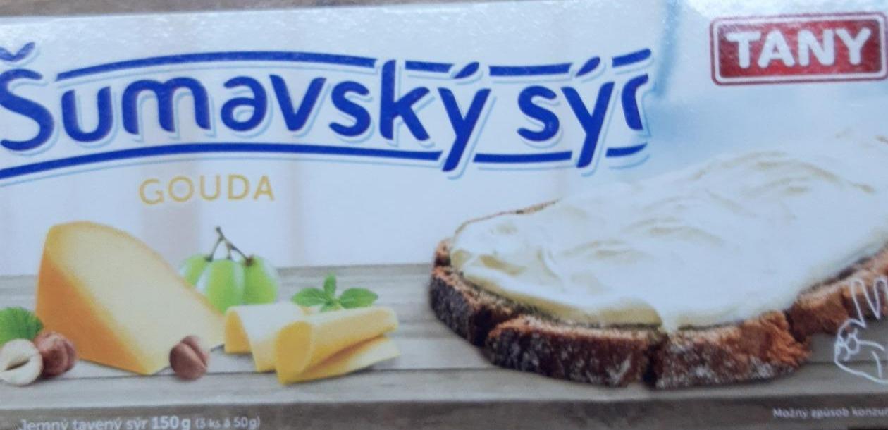 Fotografie - Šumavský sýr gouda Tany