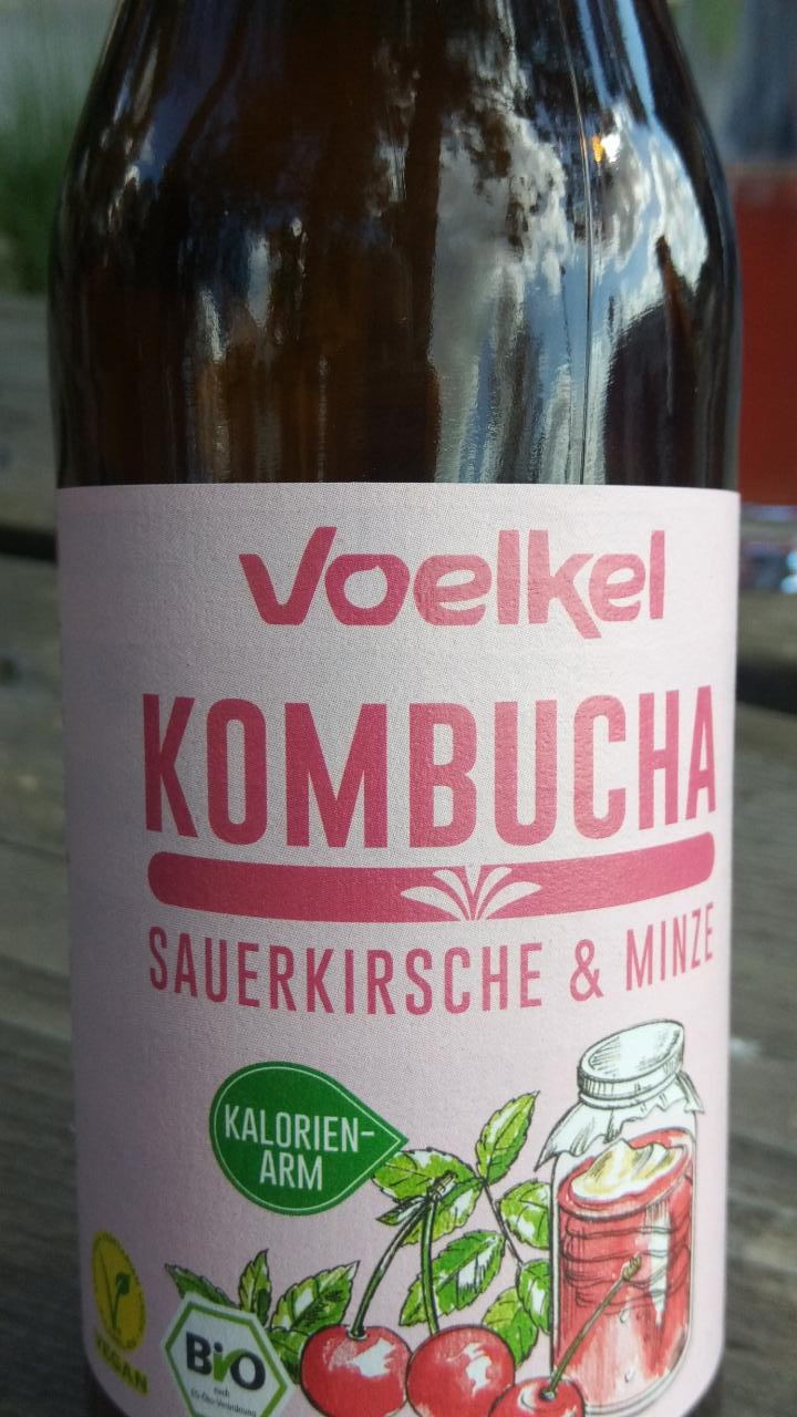 Fotografie - kombucha višeň