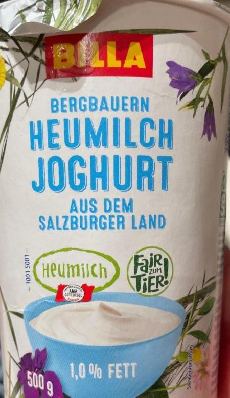 Fotografie - Heumilch Joghurt