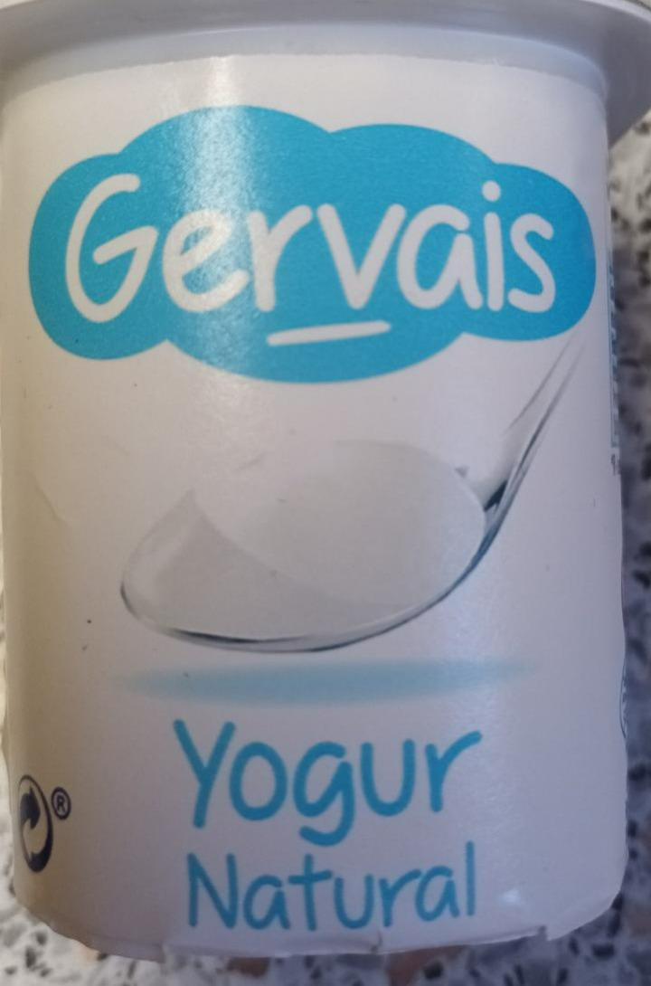 Fotografie - Yogur Natural Gervais