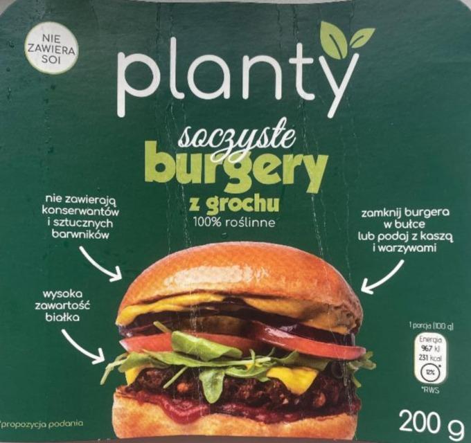 Fotografie - Burgery z grochu Planty