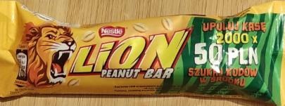 Fotografie - Lion peanut bar