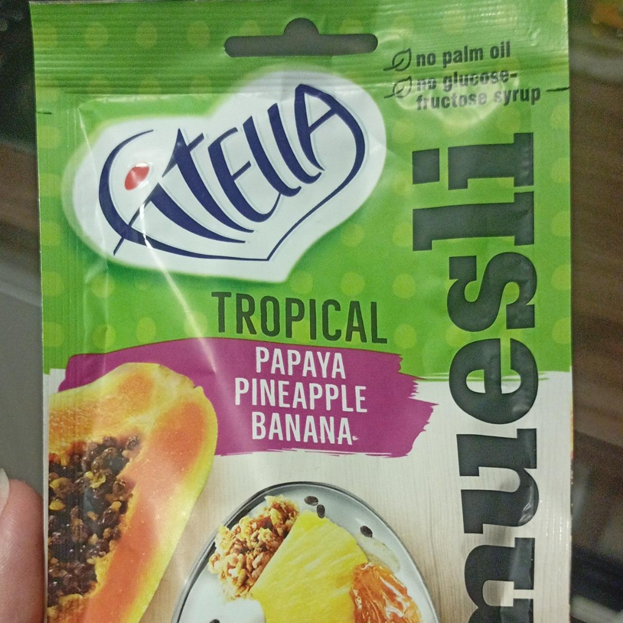 Fotografie - Tropical Fitella