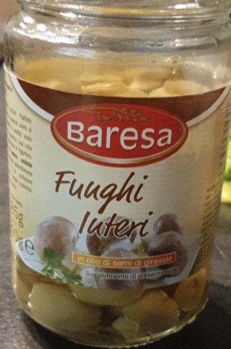 Fotografie - Funghi luteri Baresa