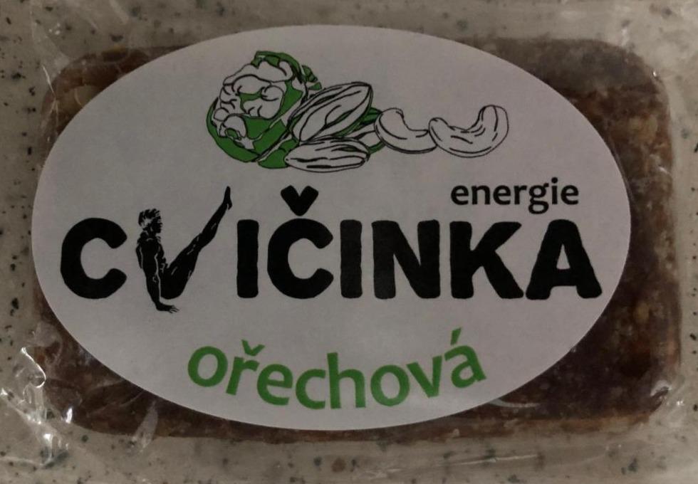 Fotografie - Cvičinka ořechová