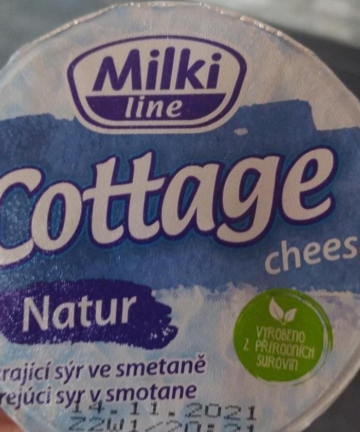 Fotografie - Cottage cheese