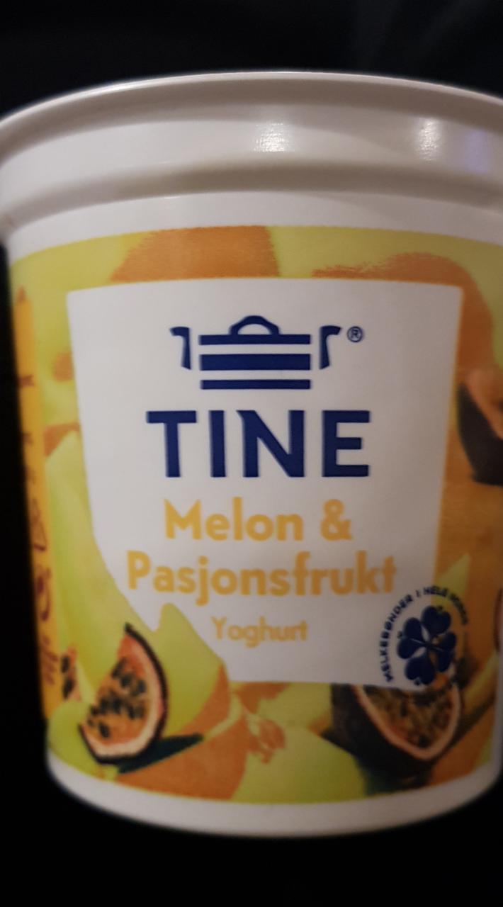 Fotografie - Yoghurt Melon & Pasjonsfrukt Tine